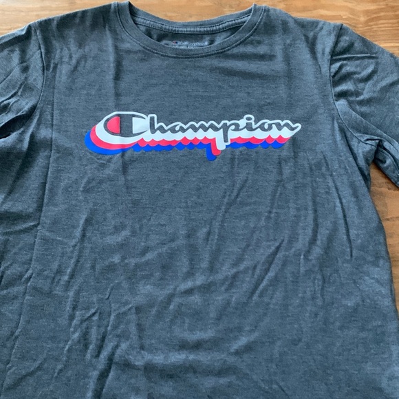hampion T-Shirt Size Large Gray - Picture 1 of 4